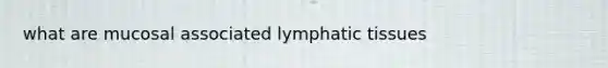 what are mucosal associated lymphatic tissues