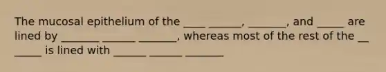 The mucosal epithelium of the ____ ______, _______, and _____ are lined by _______ ______ _______, whereas most of the rest of the __ _____ is lined with ______ ______ _______