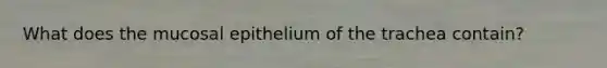 What does the mucosal epithelium of the trachea contain?