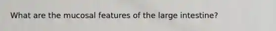 What are the mucosal features of the large intestine?