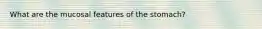 What are the mucosal features of the stomach?