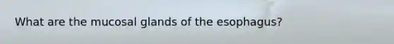 What are the mucosal glands of the esophagus?