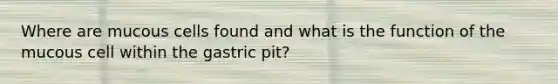 Where are mucous cells found and what is the function of the mucous cell within the gastric pit?