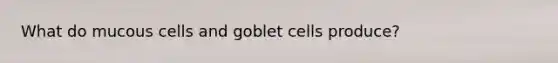 What do mucous cells and goblet cells produce?