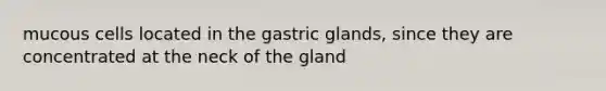 mucous cells located in the gastric glands, since they are concentrated at the neck of the gland