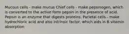 Mucous cells - make mucus Chief cells - make pepsinogen, which is converted to the active form pepsin in the presence of acid. Pepsin is an enzyme that digests proteins. Parietal cells - make hydrochloric acid and also intrinsic factor, which aids in B vitamin absorption