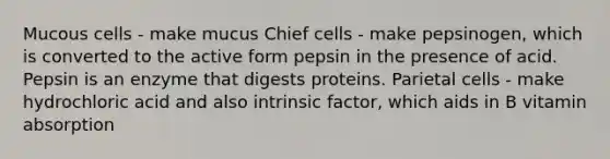 Mucous cells - make mucus Chief cells - make pepsinogen, which is converted to the active form pepsin in the presence of acid. Pepsin is an enzyme that digests proteins. Parietal cells - make hydrochloric acid and also intrinsic factor, which aids in B vitamin absorption