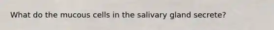 What do the mucous cells in the salivary gland secrete?