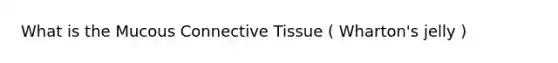 What is the Mucous Connective Tissue ( Wharton's jelly )