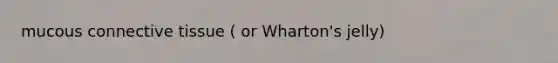 mucous connective tissue ( or Wharton's jelly)