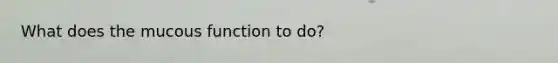 What does the mucous function to do?