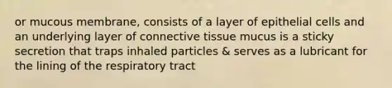 or mucous membrane, consists of a layer of epithelial cells and an underlying layer of connective tissue mucus is a sticky secretion that traps inhaled particles & serves as a lubricant for the lining of the respiratory tract