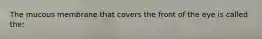 The mucous membrane that covers the front of the eye is called the: