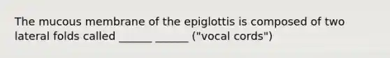 The mucous membrane of the epiglottis is composed of two lateral folds called ______ ______ ("vocal cords")