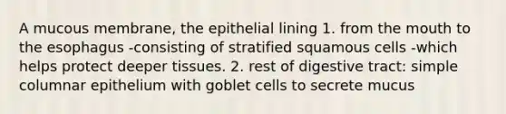 A mucous membrane, the epithelial lining 1. from the mouth to the esophagus -consisting of stratified squamous cells -which helps protect deeper tissues. 2. rest of digestive tract: simple columnar epithelium with goblet cells to secrete mucus