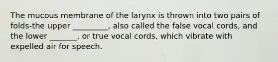 The mucous membrane of the larynx is thrown into two pairs of folds-the upper _________, also called the false vocal cords, and the lower _______, or true vocal cords, which vibrate with expelled air for speech.