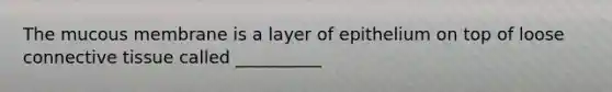 The mucous membrane is a layer of epithelium on top of loose connective tissue called __________