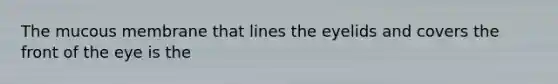 The mucous membrane that lines the eyelids and covers the front of the eye is the