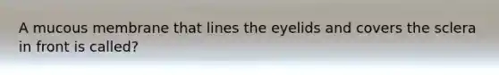 A mucous membrane that lines the eyelids and covers the sclera in front is called?