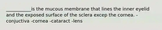 ___________is the mucous membrane that lines the inner eyelid and the exposed surface of the sclera excep the cornea. -conjuctiva -cornea -cataract -lens