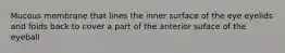 Mucous membrane that lines the inner surface of the eye eyelids and folds back to cover a part of the anterior suface of the eyeball