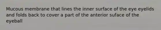 Mucous membrane that lines the inner surface of the eye eyelids and folds back to cover a part of the anterior suface of the eyeball