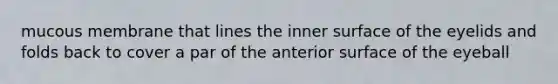 mucous membrane that lines the inner surface of the eyelids and folds back to cover a par of the anterior surface of the eyeball