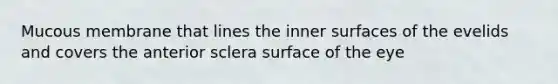 Mucous membrane that lines the inner surfaces of the evelids and covers the anterior sclera surface of the eye