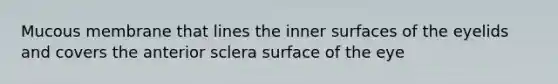 Mucous membrane that lines the inner surfaces of the eyelids and covers the anterior sclera surface of the eye