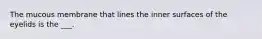 The mucous membrane that lines the inner surfaces of the eyelids is the ___.