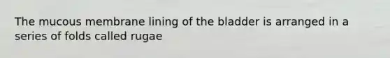 The mucous membrane lining of the bladder is arranged in a series of folds called rugae