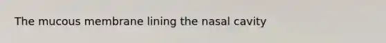 The mucous membrane lining the nasal cavity
