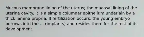 Mucous membrane lining of the uterus; the mucosal lining of the uterine cavity. It is a simple columnar epithelium underlain by a thick lamina propria. If fertilization occurs, the young embryo burrows into the ... (implants) and resides there for the rest of its development.