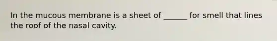 In the mucous membrane is a sheet of ______ for smell that lines the roof of the nasal cavity.