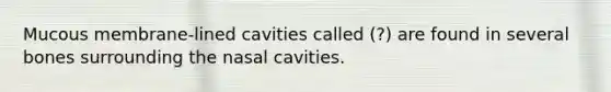 Mucous membrane-lined cavities called (?) are found in several bones surrounding the nasal cavities.