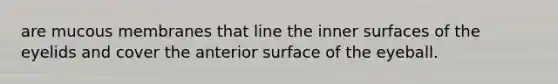 are mucous membranes that line the inner surfaces of the eyelids and cover the anterior surface of the eyeball.