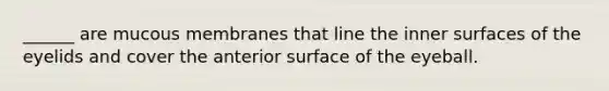 ______ are mucous membranes that line the inner surfaces of the eyelids and cover the anterior surface of the eyeball.