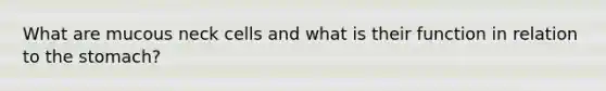 What are mucous neck cells and what is their function in relation to the stomach?