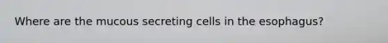 Where are the mucous secreting cells in the esophagus?