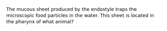 The mucous sheet produced by the endostyle traps the microscopic food particles in the water. This sheet is located in the pharynx of what animal?