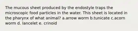 The mucous sheet produced by the endostyle traps the microscopic food particles in the water. This sheet is located in <a href='https://www.questionai.com/knowledge/ktW97n6hGJ-the-pharynx' class='anchor-knowledge'>the pharynx</a> of what animal? a.arrow worm b.tunicate c.acorn worm d. lancelet e. crinoid