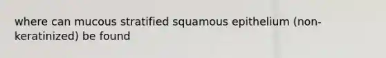 where can mucous stratified squamous epithelium (non-keratinized) be found