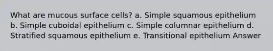 What are mucous surface cells? a. Simple squamous epithelium b. Simple cuboidal epithelium c. Simple columnar epithelium d. Stratified squamous epithelium e. Transitional epithelium Answer