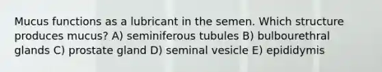 Mucus functions as a lubricant in the semen. Which structure produces mucus? A) seminiferous tubules B) bulbourethral glands C) prostate gland D) seminal vesicle E) epididymis