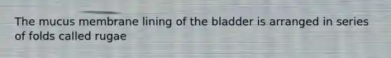 The mucus membrane lining of the bladder is arranged in series of folds called rugae