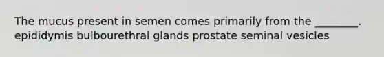 The mucus present in semen comes primarily from the ________. epididymis bulbourethral glands prostate seminal vesicles