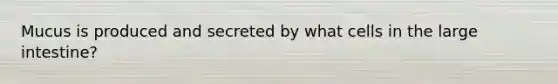Mucus is produced and secreted by what cells in the large intestine?