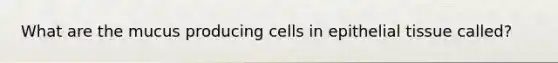 What are the mucus producing cells in epithelial tissue called?