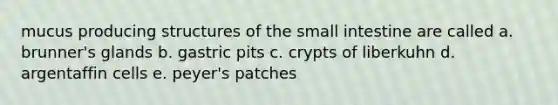 mucus producing structures of the small intestine are called a. brunner's glands b. gastric pits c. crypts of liberkuhn d. argentaffin cells e. peyer's patches