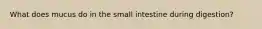 What does mucus do in the small intestine during digestion?